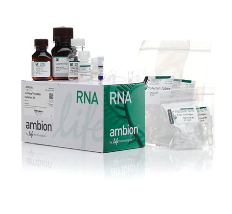 mirvana total rna isolation kit|mirvana mirna isolation kit ambion.